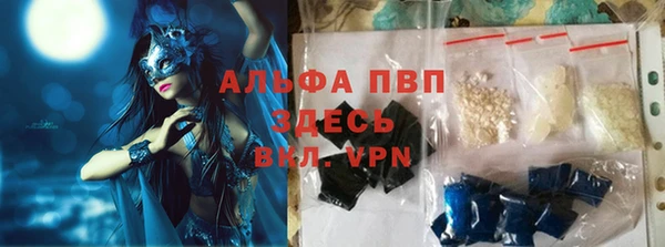 прущие грибы Корсаков