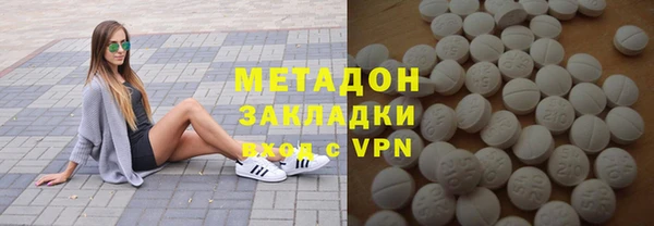 прущие грибы Корсаков