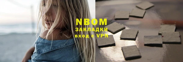 прущие грибы Корсаков