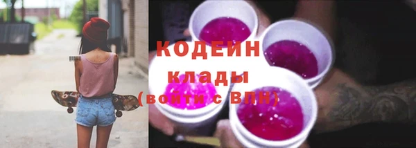прущие грибы Корсаков