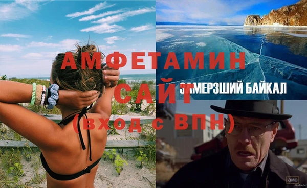 прущие грибы Корсаков