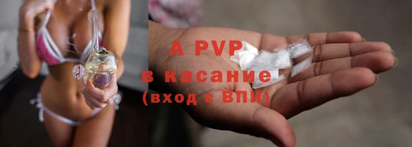 прущие грибы Корсаков
