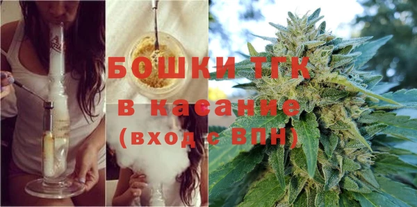 прущие грибы Корсаков