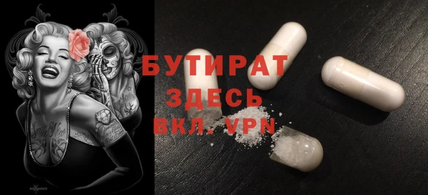 прущие грибы Корсаков