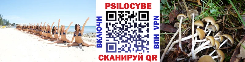 Купить где  Калач  Галлюциногенные грибы прущие грибы 